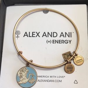 Alex and Ani Baby Boy Bracelet